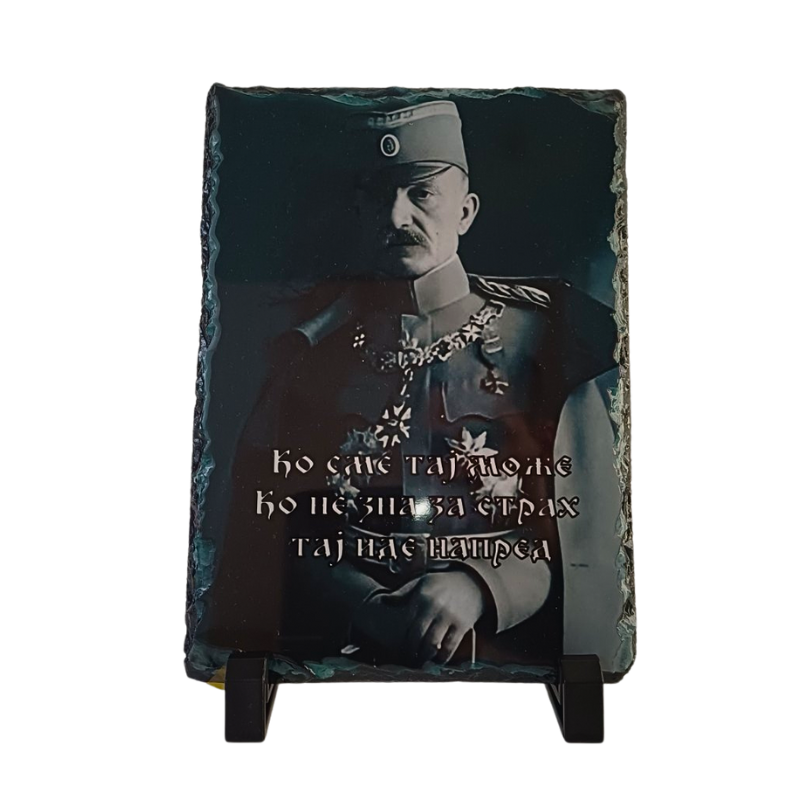 Живојин Мишић